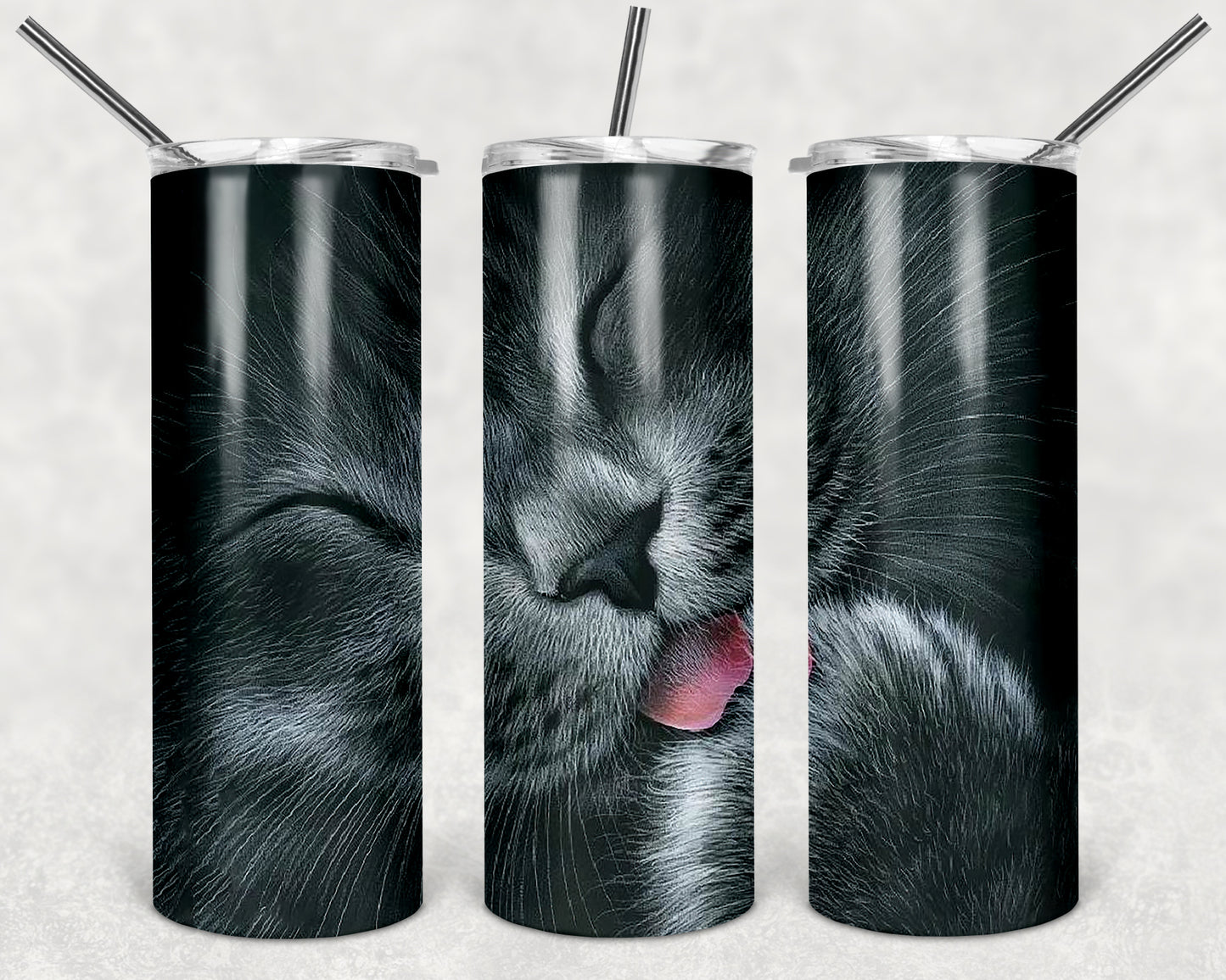purdy cat