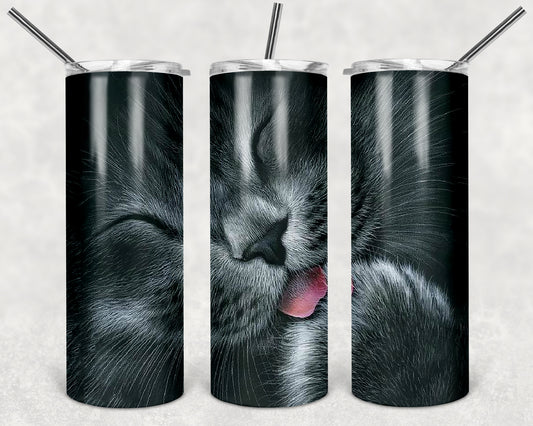 purdy cat