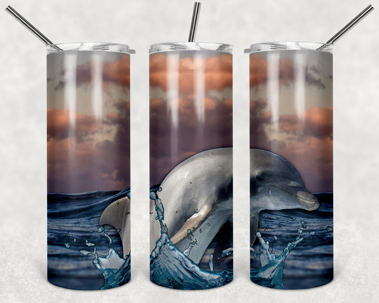 Dolphin