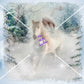 Winter Horses
