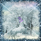 Winter Horses